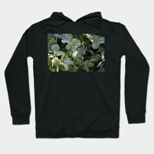 Flower in the Shamrocks Hoodie